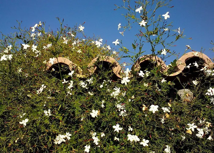 Vakantiepark Lageado Park Albufeira