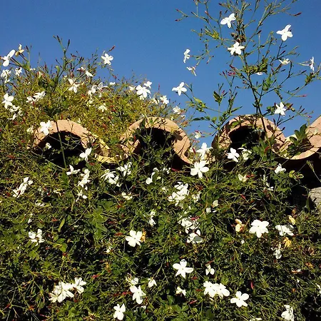 Parco vacanze Lageado Park Albufeira